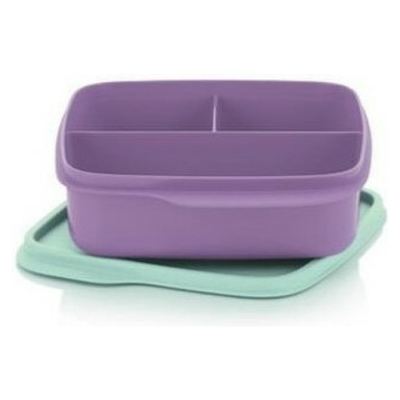 Purple Divided Square Lunch Box