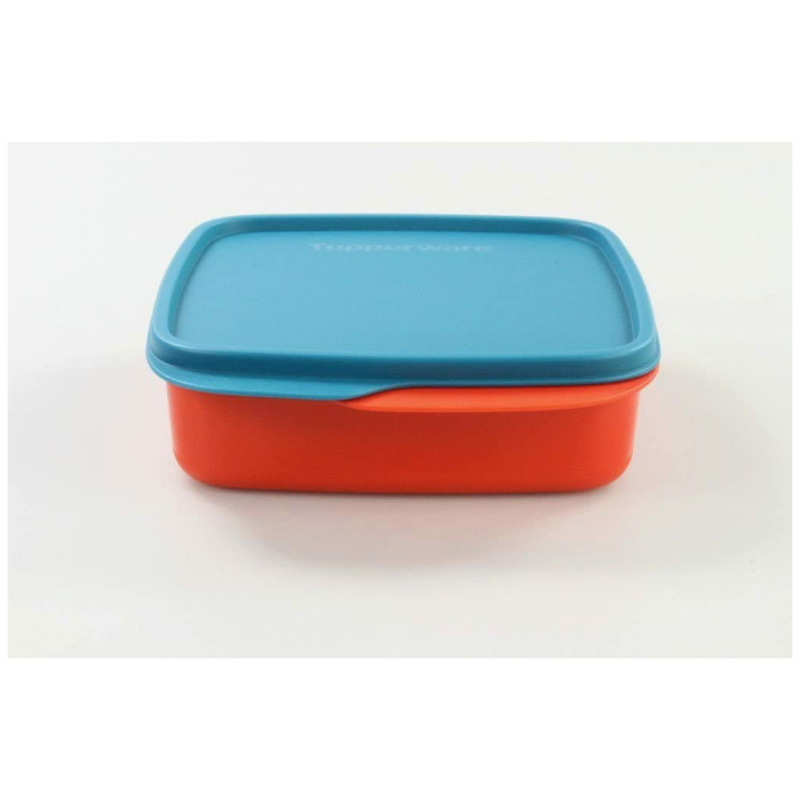 Orange Divided Square Lunch Box