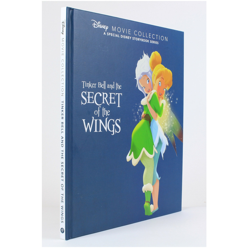 secret of the wings book