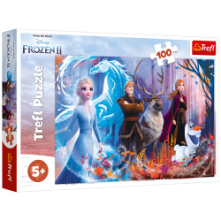 Magic Of The Frozen Puzzle - 100 Pcs