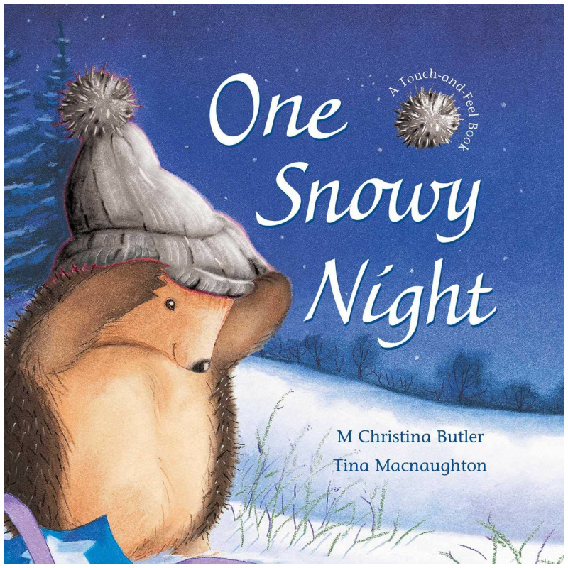 Picture Book And CD Set - One Snowy Night