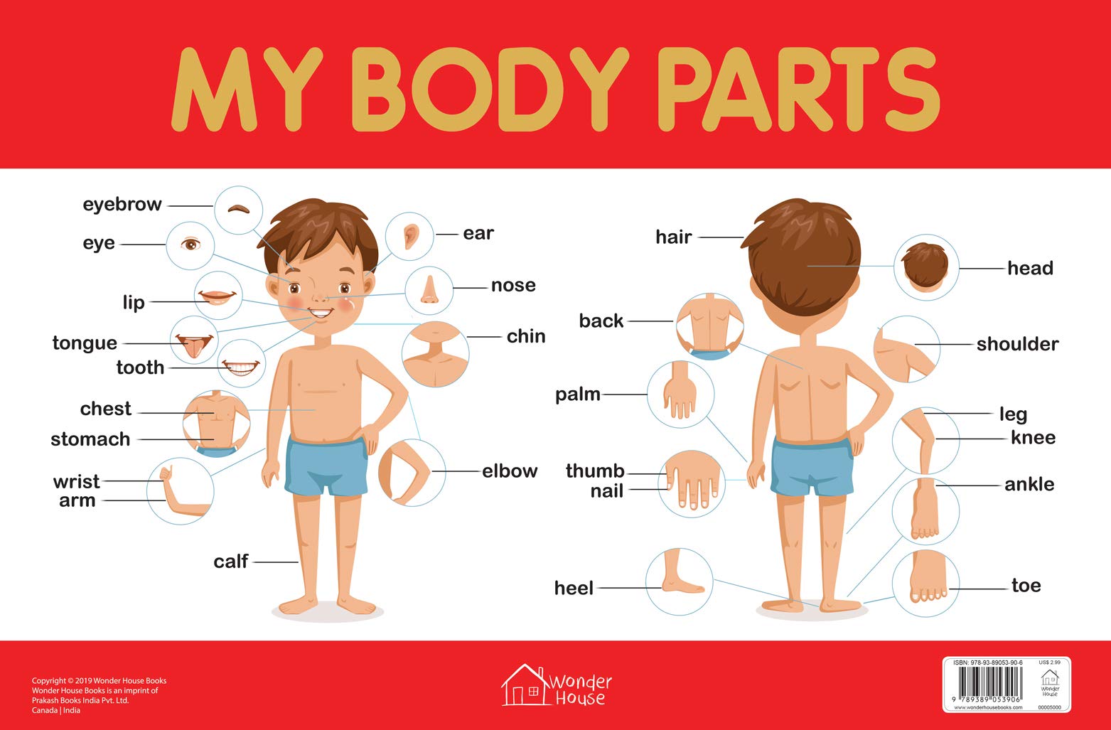 other-early-educational-chart-my-body-parts-shop-online-books-educational-books