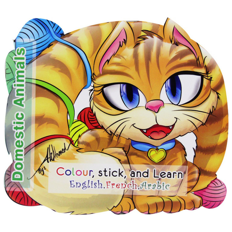 Color Stick And Learn - Domestic World