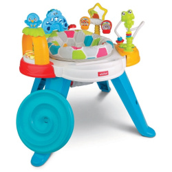 Baby Move Activity Center