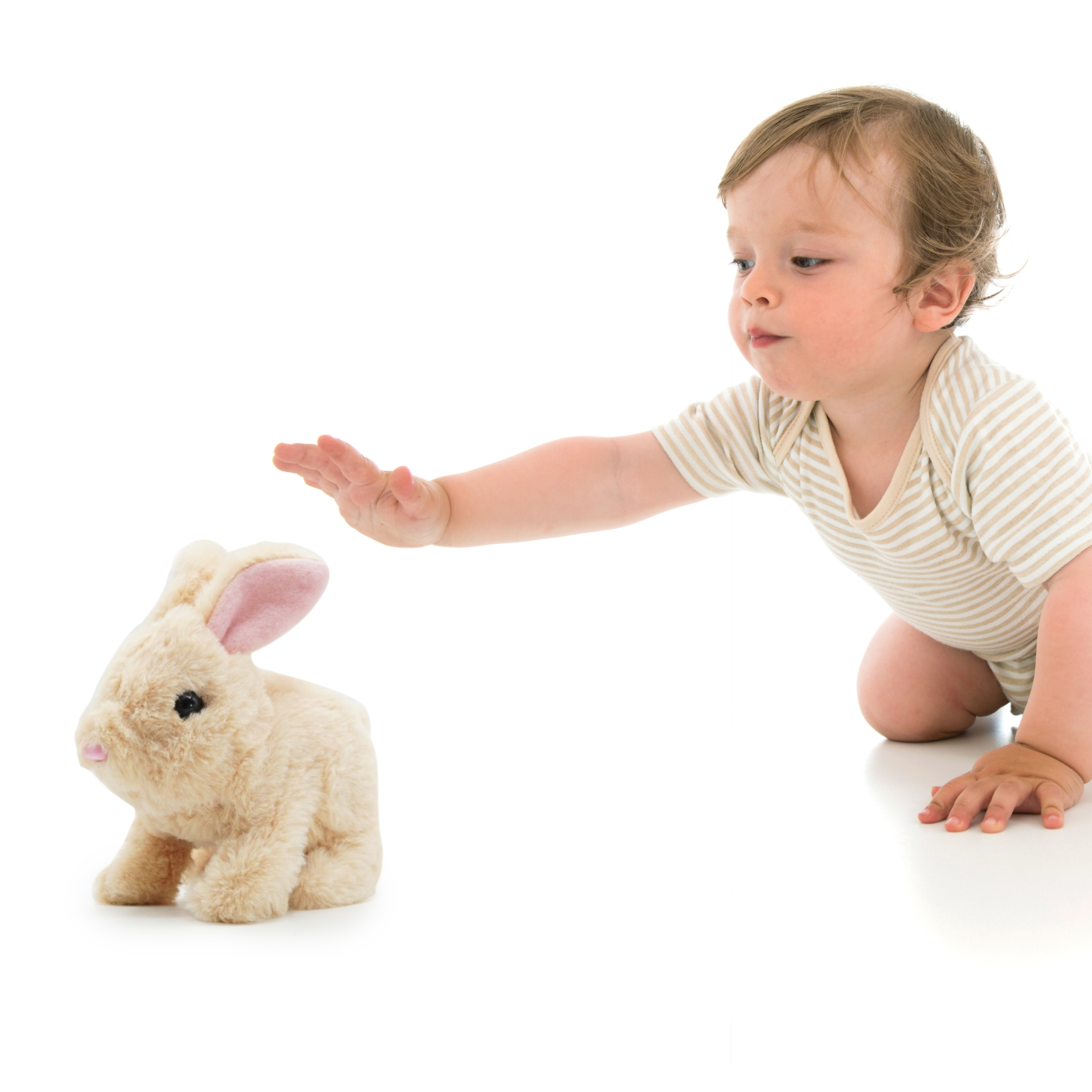 Baby King Baby Bunny Squeeze Toy – MarketCOL