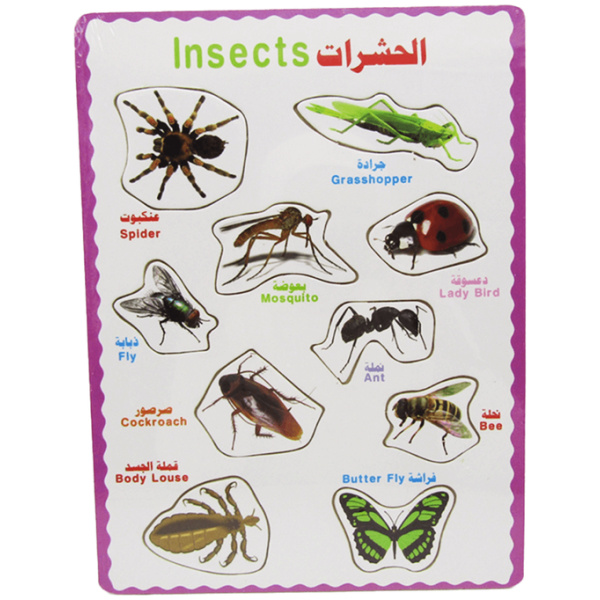 Frame Puzzle - Insects