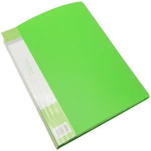 Vividus Clear Book A4 – 40 Pocket – Green