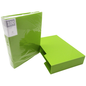 Portfolio Display Book A4 – 100 Sheets - Green