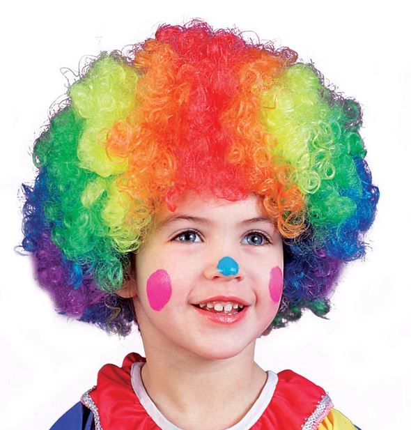 Colorful Clown Wig