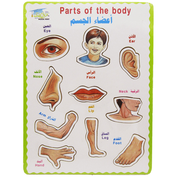 Frame Puzzle – Body Parts