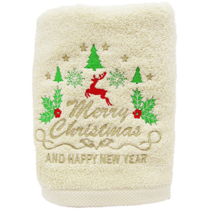 Christmas Towel - Random Pick