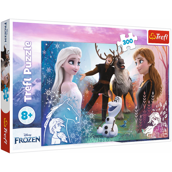 Frozen Magic Time Jigsaw Puzzle - 300 Pcs