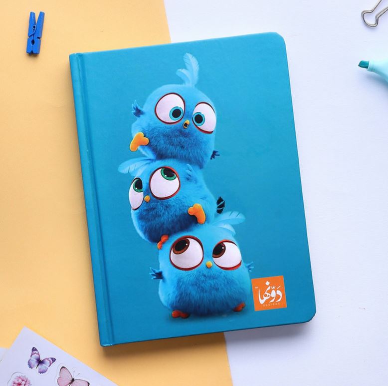 SafeZone Notebook - Angry Birds
