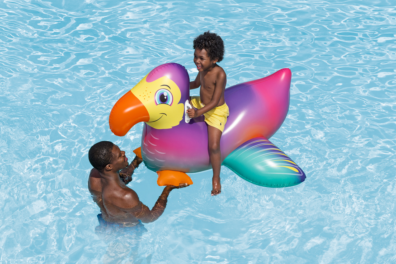 Inflatable Dandy Dodo Pool Float Ride-On