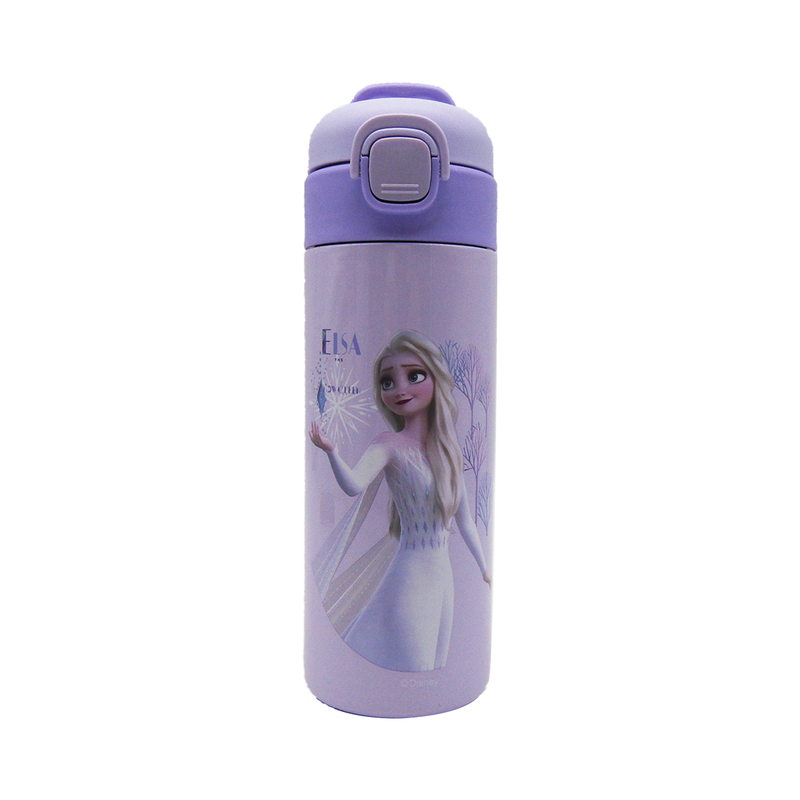 Stainless Steel Water Bottle - Frozen